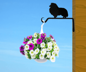 Plant Holders (Hanging)