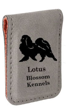 Money Clip (Leatherette)