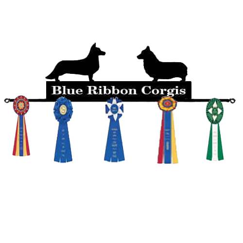 Ribbon Rack