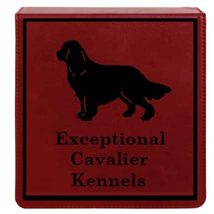 Wine Set {3pc} - Image 2